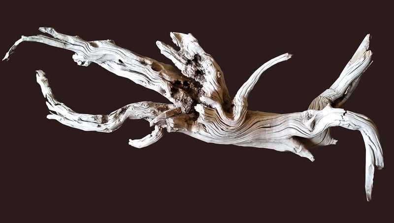 Driftwood